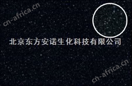 活性炭过滤棉