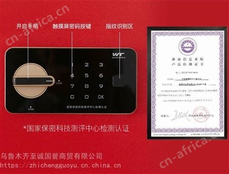 至诚国誉保密文件柜钢制密码电子智能指纹密码WIFI远程控制办公室文件柜储物柜矮柜