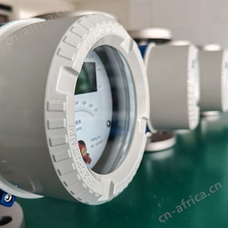 DSF10不锈钢金属管浮子流量计厂家