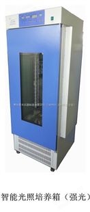 GRH-800智能光照培养箱（强光）