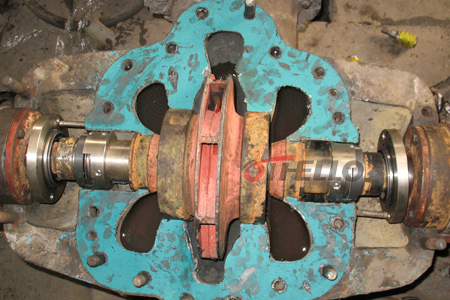 450300 加logo (2).jpg